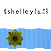 Never Again by Pete Shelley