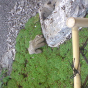 this summer, we start