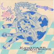 Kamikaze Palm Tree: good boy