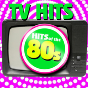 TV Hits of the 80s