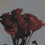 A Glimpse Into the Little World