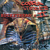 Cobra Strike II: YY+BX+Y<hold>←