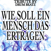 Wie Soll Ein Mensch Das Ertragen (Karaoke Version) (Originally Performed By Philipp Poisel)