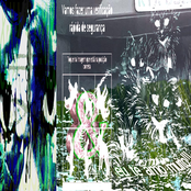 Máquina Das Bolinhas