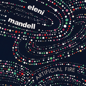 Artificial Fire by Eleni Mandell