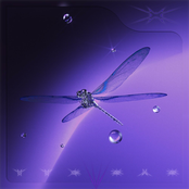 Wrapping Around Your Insides