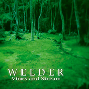 Vines and Stream