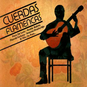 Cuerdas Flamencas