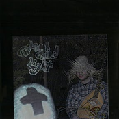 Stream Through Your Garden