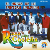 El Adios de la Pantera Valdivia