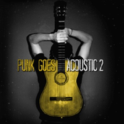 Punk Goes Acoustic, Vol. 2