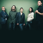 the cardigans