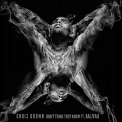 Don't Think They Know by Chris Brown