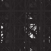 The Binary Collective