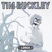 I Had A Talk With My Woman by Tim Buckley