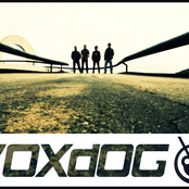 Voxdog