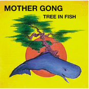 Live In The Usa 1991