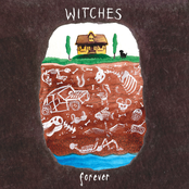 Feed by Witches