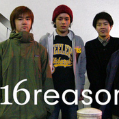 16 reasons