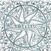 Everfrost Symphony II