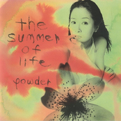 The Summer Of Life cover