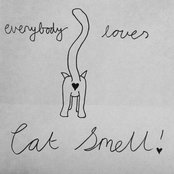 Cat Smell