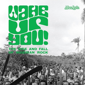Wake up you ! Vol. 2 : the rise and fall of nigerian rock 1972-1977