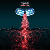 Mindfulness Intention by Capsula