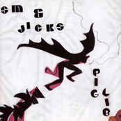 Stephen Malkmus & The Jicks: Pig Lib