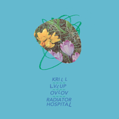 Krill, LVL UP, Ovlov & Radiator Hospital - Split Release