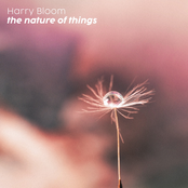 the nature of things