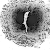 Tales of Psychotropicdaelia EP [2006]