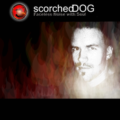 Scorched Dog