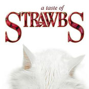 a taste of StrawbS