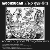 Acoustical Spaces Of Forgotten Tears