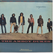 Curb Your Elephant by The Amboy Dukes