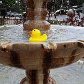 Dejavu (Golden Hour - Volume 6)