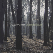 Under the Pines - Single