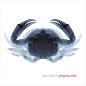 The New Zealand Connection