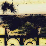 Chi dara fine al gran dolore