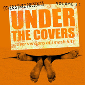 Under the Covers - Cover Versions of Smash Hits, Vol. 31