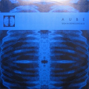 Atonal Organs by Aube