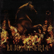 Lujo Y Miseria