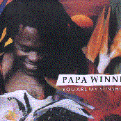 Roots And Culture by Papa Winnie