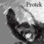 Protek