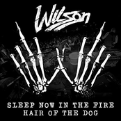 Wilson: Sleep Now In The Fire / Hair Of The Dog