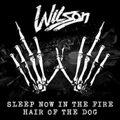 Wilson: Sleep Now In the Fire / Hair of the Dog