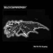 End Is The Beginning