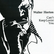 Hard Hearted Woman by Big Walter Horton