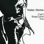 Tin Pan Alley by Big Walter Horton